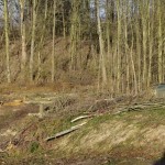 rokle_08